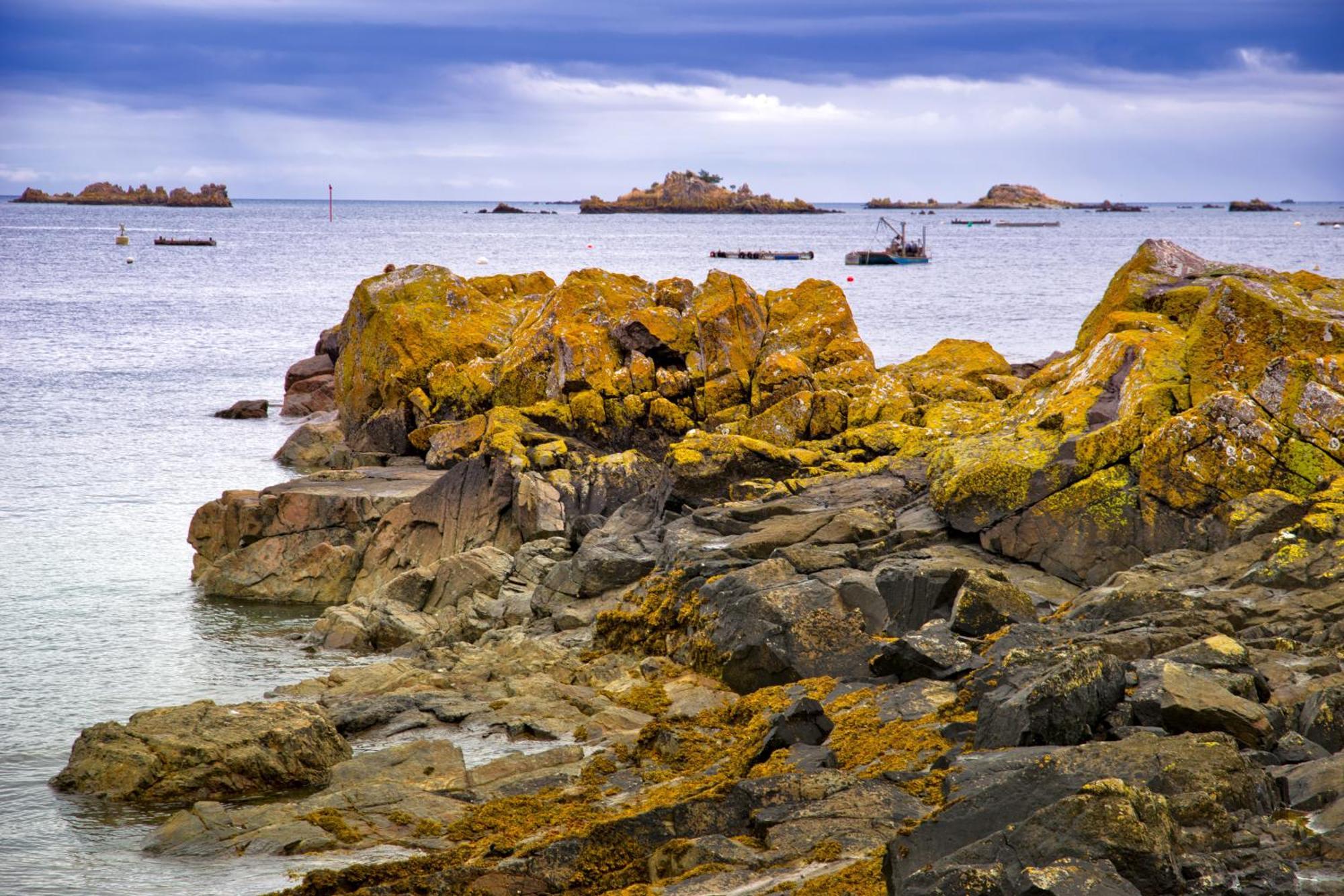 Gite Paimpol Le Loarwenn Buitenkant foto