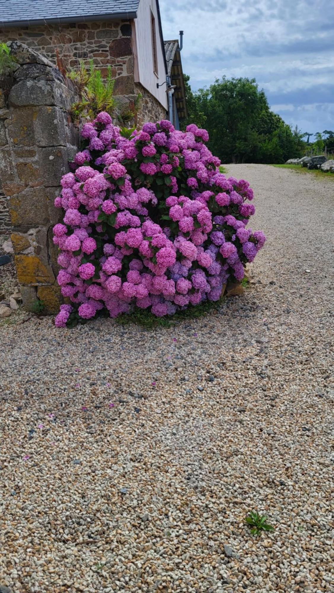 Gite Paimpol Le Loarwenn Buitenkant foto